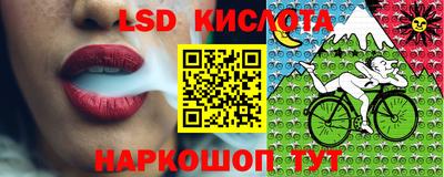 винт Абинск