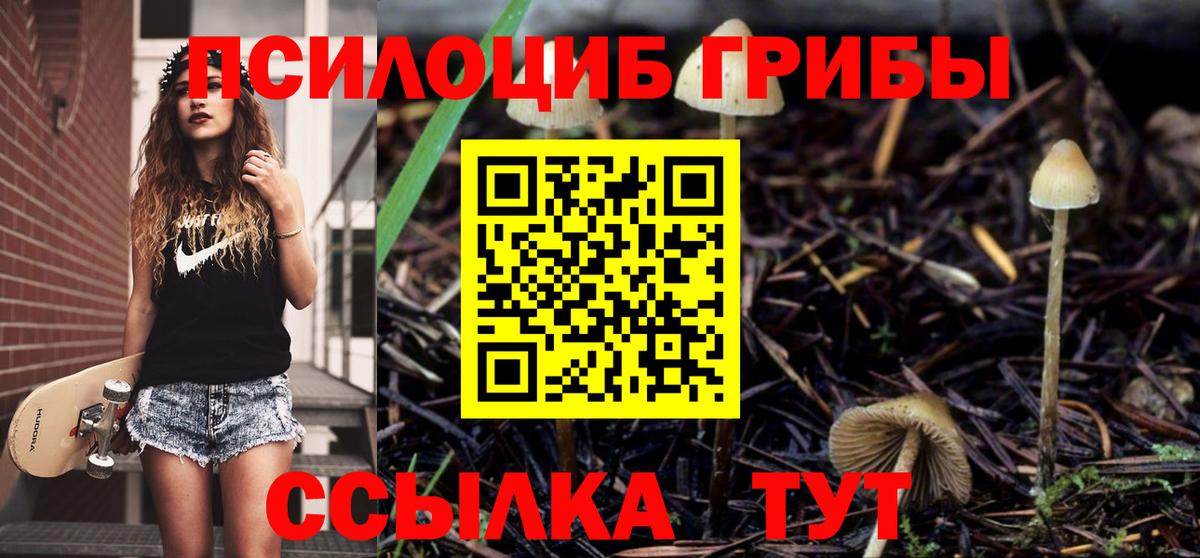 Псилоцибиновые грибы MAGIC MUSHROOMS Алатырь