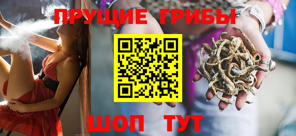 Алатырь  Псилоцибиновые грибы ЛСД  Вход с VPN 